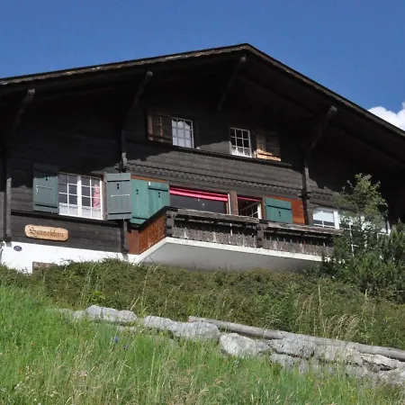 Ferienhaus Sunneschyn 아파트 *
